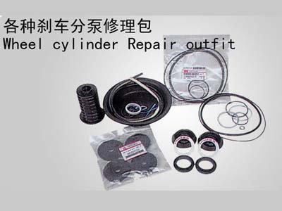 Wheel cylinder Repair outfit