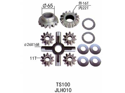 Differential repair kit